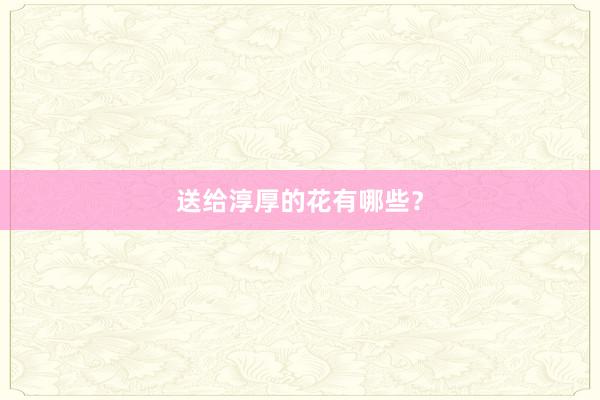 送给淳厚的花有哪些?